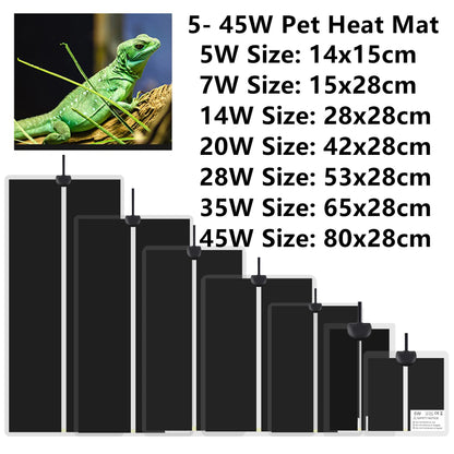 S048ee34e48564e69b82f5661e768e9c3o