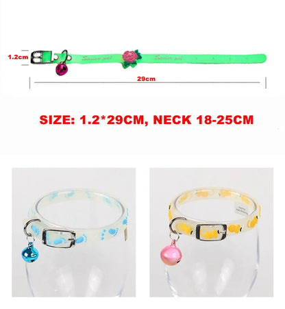 Sf29a6b4f3e85419895fe20cdb79ef6caI